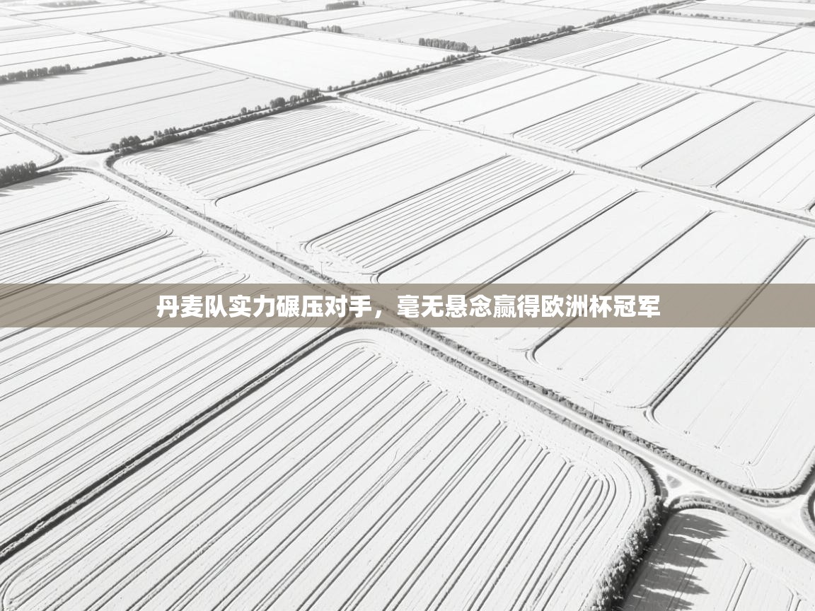 丹麦队实力碾压对手，毫无悬念赢得欧洲杯冠军  第1张