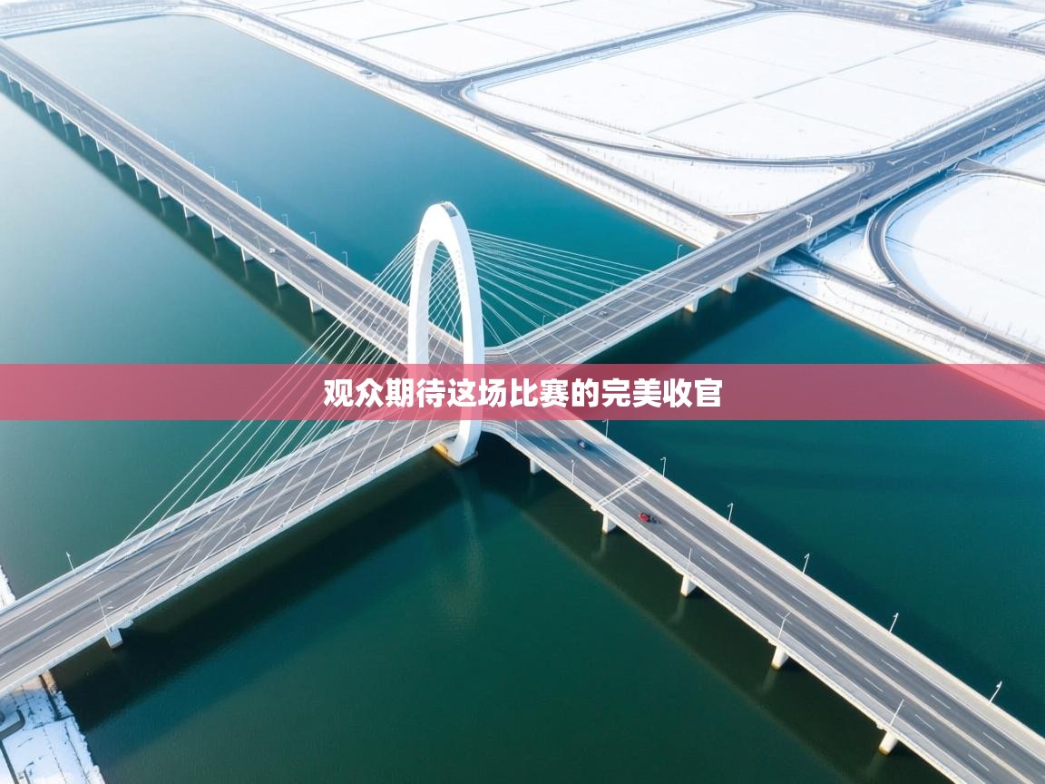 观众期待这场比赛的完美收官  第2张