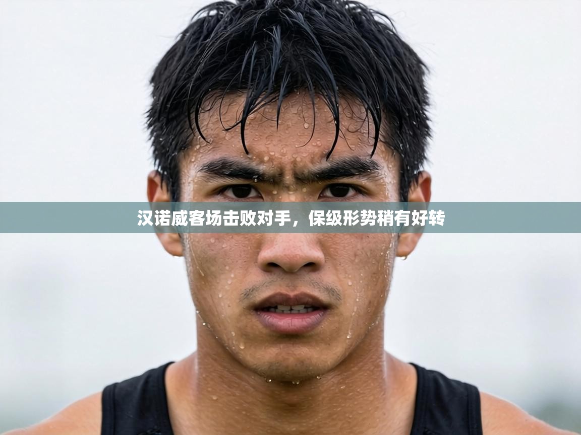 汉诺威客场击败对手,保级形势稍有好转 第1张