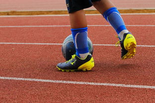 九游体育网页版入口-足球豪门再度交手，欧洲联赛高潮迭起，欧洲各大足球联赛数据统计