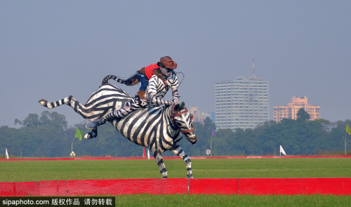 九游体育网页版登录入口-高难度动作见识，选手展示绝技取得胜利